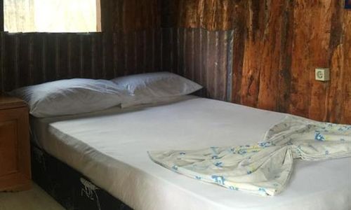 turkiye/antalya/kumluca/olympos-inci-pansiyon-612-1672c9b5.jpg