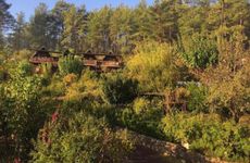 turkiye/antalya/kumluca/olympos-otantik-pansiyon_77f94e9f.jpg