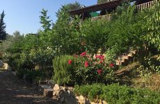 turkiye/antalya/kumluca/olympos-otantik-pansiyon_a6696315.jpg