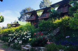 turkiye/antalya/kumluca/olympos-otantik-pansiyon_ee1ba43e.jpg