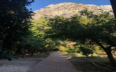 Olympos Varuna Pansiyon · 5