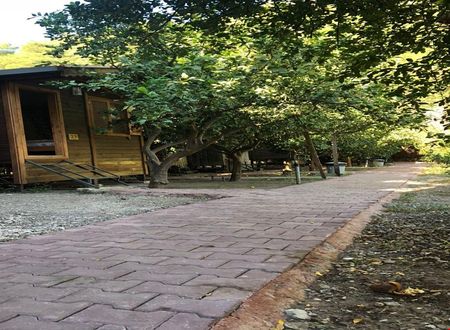 turkiye/antalya/kumluca/olympos-varuna-pansiyon_8dde3d9e.jpg