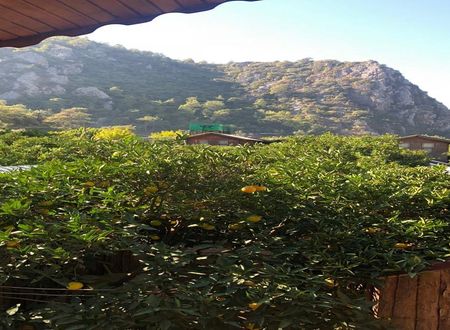 turkiye/antalya/kumluca/olympos-varuna-pansiyon_b040d4ff.jpg