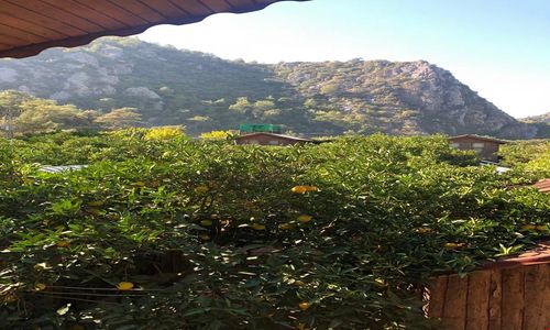 turkiye/antalya/kumluca/olympos-varuna-pansiyon_b040d4ff.jpg