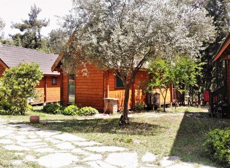 turkiye/antalya/kumluca/olympos-village-ae6ae16a.jpeg