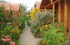 turkiye/antalya/kumluca/portakal-bahcesi_0dd39529.jpg