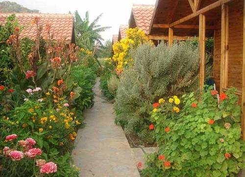 turkiye/antalya/kumluca/portakal-bahcesi_0dd39529.jpg