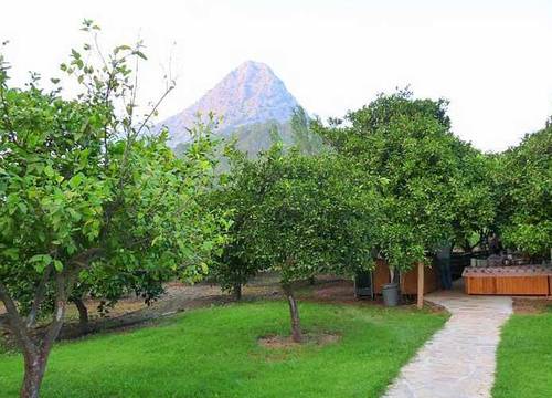 turkiye/antalya/kumluca/portakal-bahcesi_3657b50b.jpg