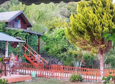 turkiye/antalya/kumluca/selvim-bungalows-04d667a8.jpg