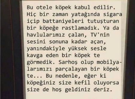 turkiye/antalya/kumluca/selvim-bungalows-14961079.jpg