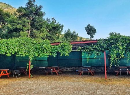 turkiye/antalya/kumluca/selvim-bungalows-80547772.jpg