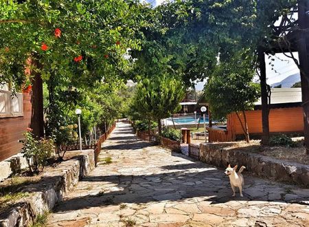 turkiye/antalya/kumluca/selvim-bungalows-b39e77f2.jpg