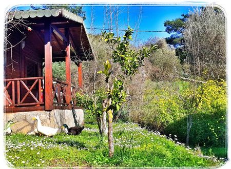 turkiye/antalya/kumluca/selvim-bungalows-ddac483e.jpg