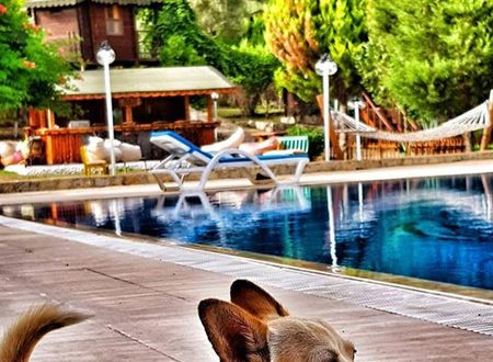 turkiye/antalya/kumluca/selvim-bungalows-fbfc8d3c.jpg