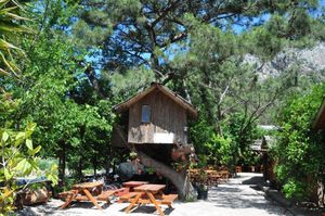 turkiye/antalya/kumluca/turkmen-agac-evleri_86b9effa.jpg