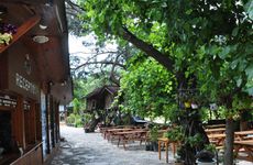 turkiye/antalya/kumluca/turkmen-agac-evleri_96497ba7.jpg