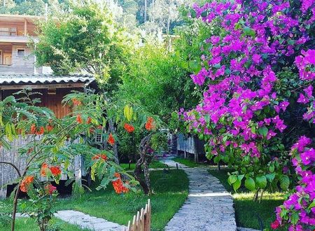 turkiye/antalya/kumluca/turkmen-agac-evleri_d21003ca.jpg