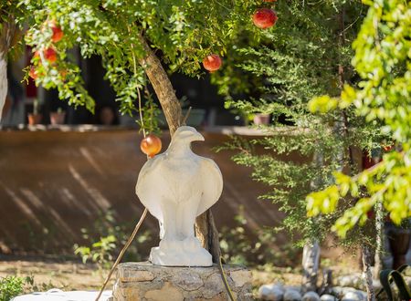 turkiye/antalya/kumluca/wildpineolympos_4edcad87.jpg
