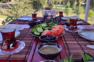 turkiye/antalya/kumluca/yolda-bungalov_702fb374.jpg
