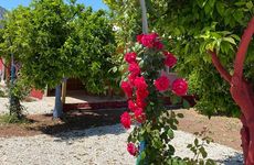turkiye/antalya/kumluca/yoruk-obasi-bungalow_4b53b33c.jpg