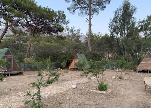 turkiye/antalya/kumluca/zen-bungalow-camping-olimpos_1fc48b17.jpg