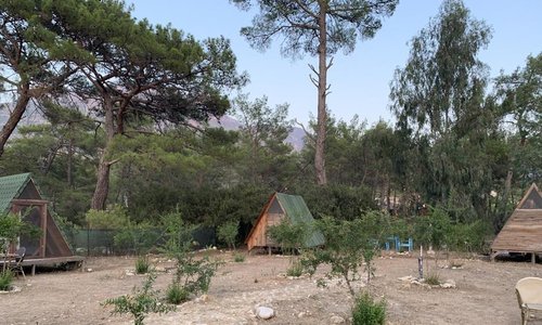 turkiye/antalya/kumluca/zen-bungalow-camping-olimpos_1fc48b17.jpg
