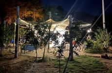 turkiye/antalya/kumluca/zen-bungalow-camping-olimpos_6433c15e.jpg