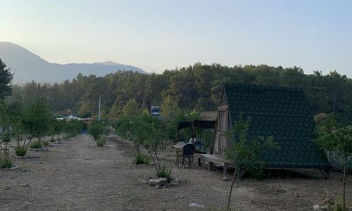 turkiye/antalya/kumluca/zen-bungalow-camping-olimpos_afee72a5.jpg