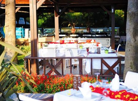 turkiye/antalya/lara/delphin-botanik-exclusive-resort-217086771.jpg