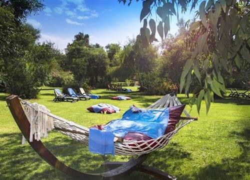 turkiye/antalya/lara/delphin-botanik-exclusive-resort-63232921.jpg