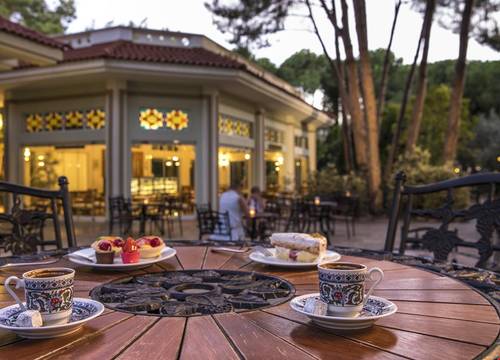 turkiye/antalya/manavgat/ali-bey-resort-sorgun_3cfa0494.jpg