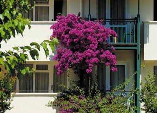 turkiye/antalya/manavgat/aska-costa-holiday-club-1330512.jpg
