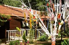 turkiye/antalya/manavgat/botanik-park-motel-1669142.jpg