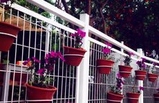 turkiye/antalya/manavgat/botanik-park-motel-1669174.jpg