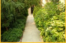 turkiye/antalya/manavgat/dynasty-hotel-1800855.jpg