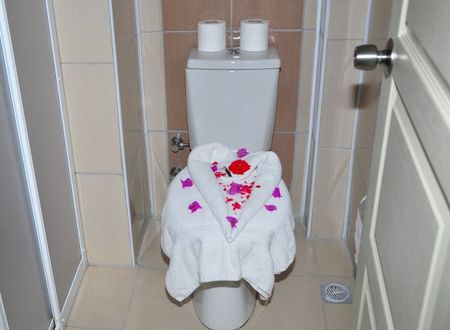 turkiye/antalya/manavgat/dynasty-hotel-1801034.jpg