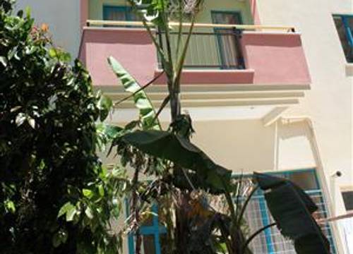 turkiye/antalya/manavgat/gazipasa-star-hotel-apartments-1014345784.JPG