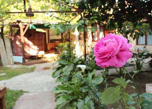 turkiye/antalya/manavgat/mine-pansiyon-1359146.jpg