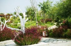 turkiye/antalya/manavgat/sentido-flora-garden-hotel-716446044.jpg