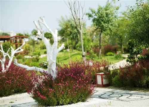 turkiye/antalya/manavgat/sentido-flora-garden-hotel-716446044.jpg