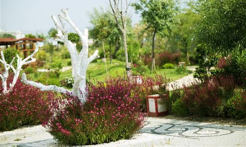 turkiye/antalya/manavgat/sentido-flora-garden-hotel-716446044.jpg