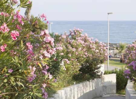 turkiye/antalya/manavgat/side-west-park-hotel-523084.jpg