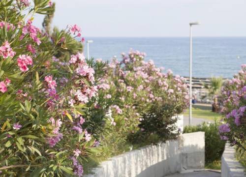 turkiye/antalya/manavgat/side-west-park-hotel-523084.jpg