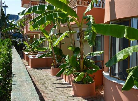 turkiye/antalya/manavgat/yavuzhan-hotel-1909259428.JPG