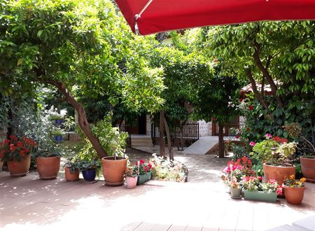turkiye/antalya/muratpasa/citrus-garden-hotel-a67364cb.jpg