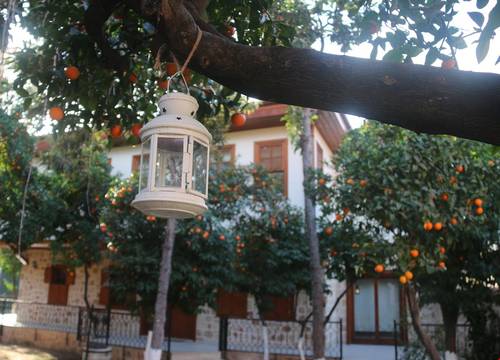 turkiye/antalya/muratpasa/citrus-garden-hotel_d8b888f1.jpg