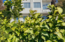 turkiye/antalya/muratpasa/letstay-panorama-suites_f0e3dd0a.jpg