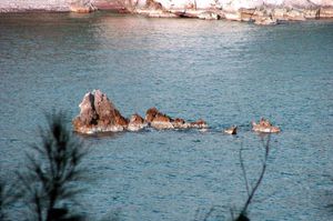 turkiye/antalya/muratpasa/mehmet-otel_5e84a8b9.jpg