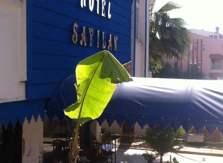 turkiye/antalya/muratpasa/sayilan-hotel-1639702.jpg