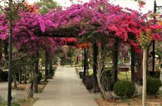 turkiye/antalya/muratpasa/villa-emel_f658fe40.jpg